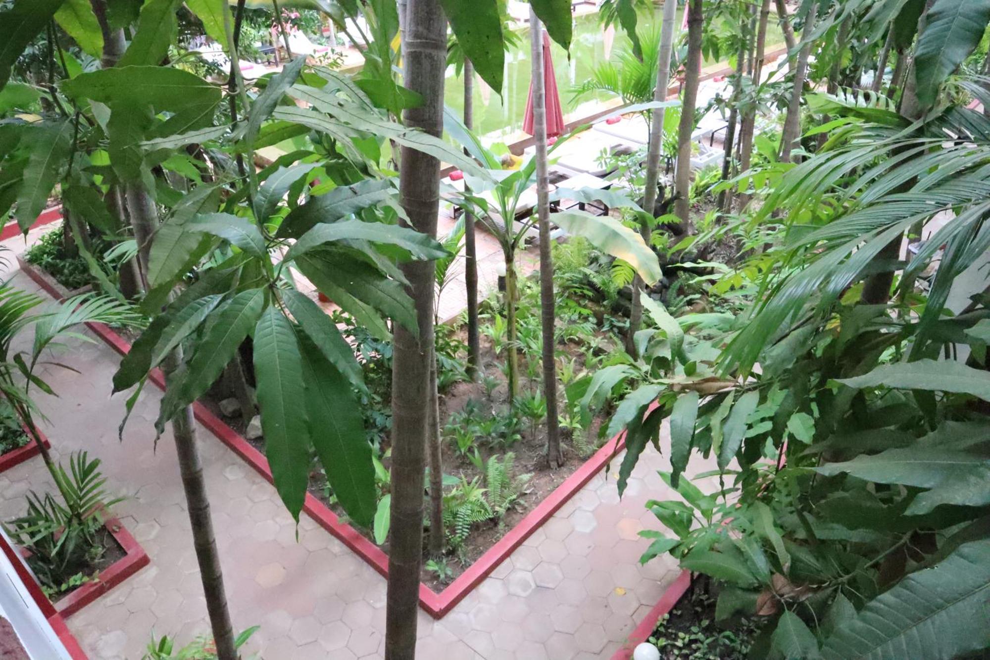 โรงแรม ลา นิช ดิ อังกอร์ บูติก โฮเต็ล